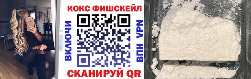 Cocaine Fish Scale  купить закладку  Кулебаки 